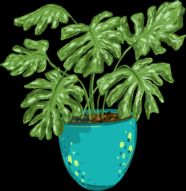 绝密每日大赛在线免费观看未来走向深度溯源·完全手册，绝密计划百科