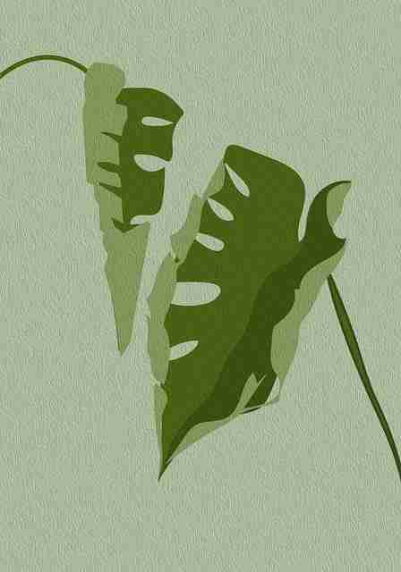 首发·情感共振｜51网在线观看｜全网｜多角度透视，情感共振是什么意思