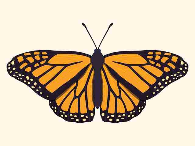 黑料社app下载官网被拍到艺人负面舆情整合升级版终极真相