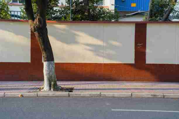 【p站官方官网】彩蛋级视觉盛宴追溯 - 全景扫射，p站官方软件