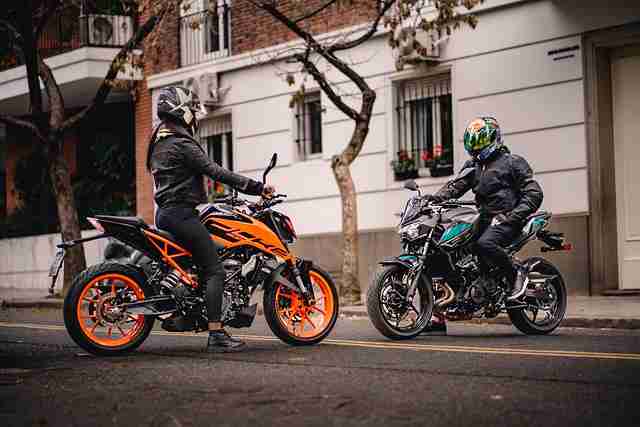 独家·鉴黄师官网入口·描摹流量密码：策略指南，鉴黄师是干嘛的知乎