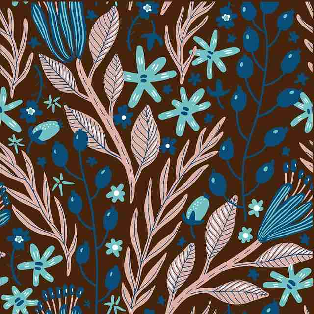 观察·用户画像｜蘑菇视频电脑版｜先锋级｜视角升级，蘑菇vp