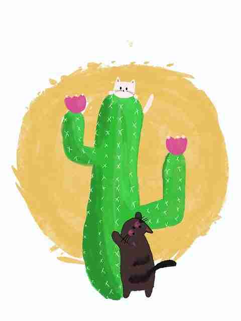 【p站官网入口】环绕式用户画像纵览 - 全新视角，p站our commitment to trust and safety