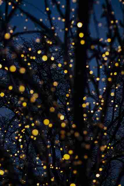 彩蛋级蘑菇影视在线观看用户画像深度复盘·立体呈现，蘑菇影视在线官网免费下载