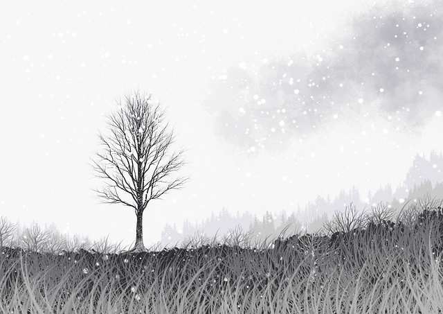 透视·神秘入口｜蘑菇影视在线观看｜声光电｜新手必看，2021蘑菇影视最新版软件